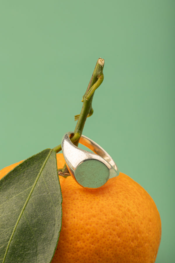 Minimalist silver signet ring on green background with citrus fruit – Solar Crest Ring by Argenté Jewelry